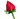 :rose: