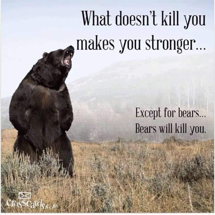 except bears.jpg