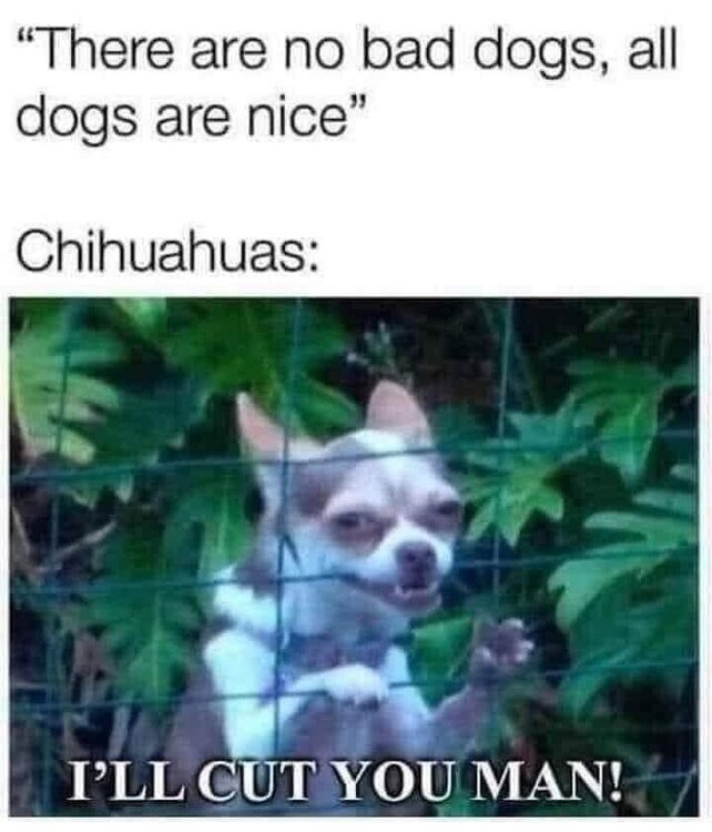 img.thumb.jpg.2a48d89b961ef6dac370b18ee9c82ca5.jpg