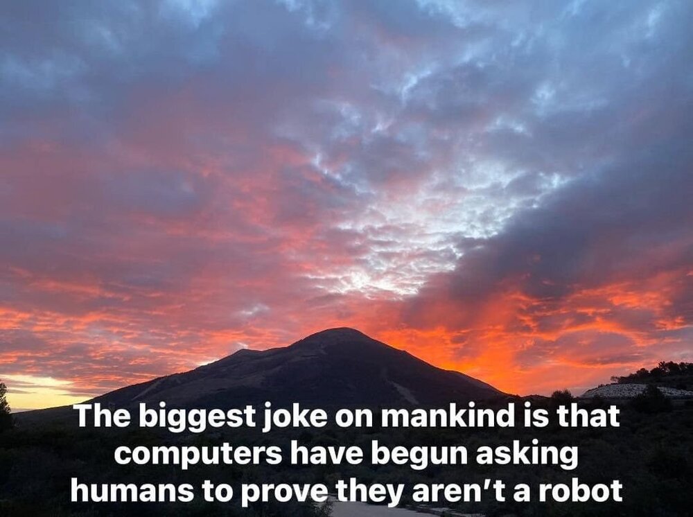 image.thumb.jpeg.b230bc0b53515e0aaca1bcd954da917a.jpeg