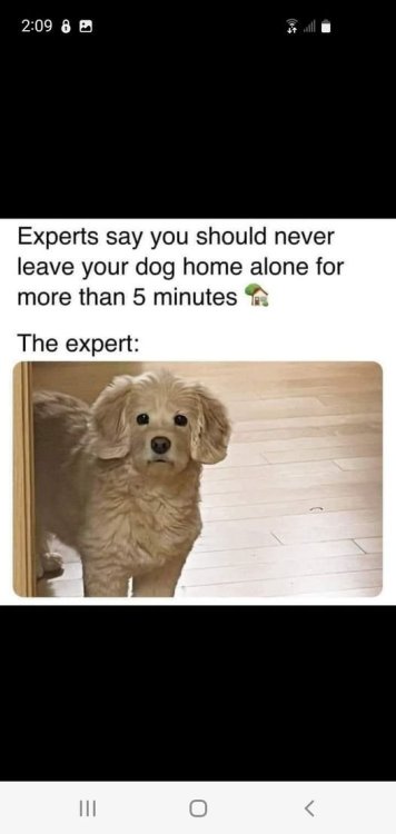image.thumb.jpeg.181206d6753b39ea39b093f5818a5463.jpeg