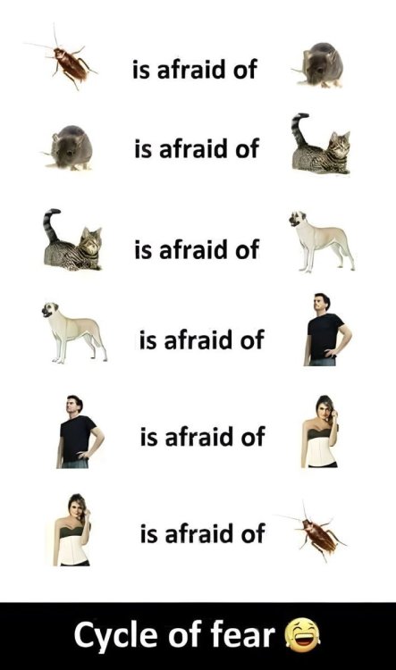 image.thumb.jpeg.e013a42ce31f2c8b3ccf1183bcfea97d.jpeg