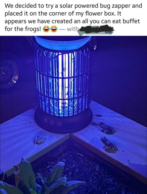img.jpg