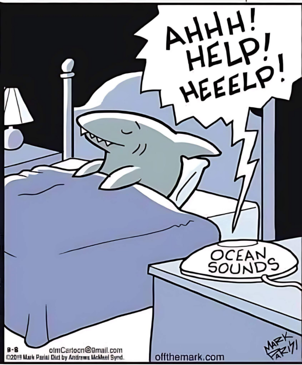 img.thumb.png.f1d1e3736f48520bc3f9e8ea3e892ff4.png