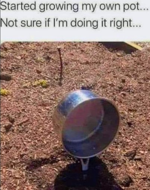 image.png.2133e42e9e28e32384b8553d373288b4.png