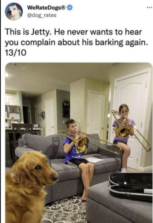 image.thumb.png.5e372fb16a66169a4cdb4aff3c9d992e.png