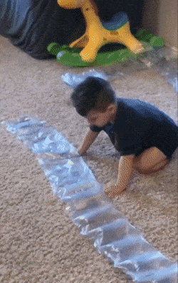 image.gif.d1b1d36ea8c65cc2053a1523c7a92f9d.gif