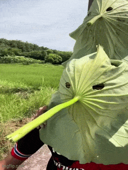 image.gif.f4bbc7af66031ed19324e96c2f4dc254.gif
