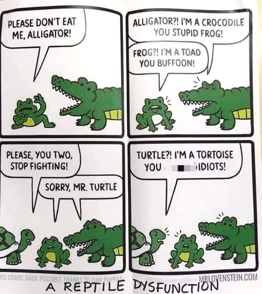 img.png.5f58aaf3c0221a958a6e18944548c95b.png